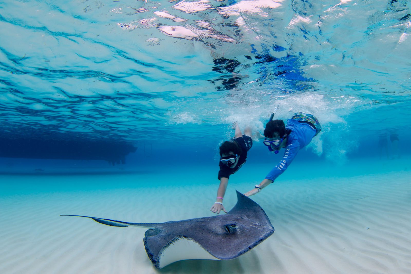 Stingray city - main 2