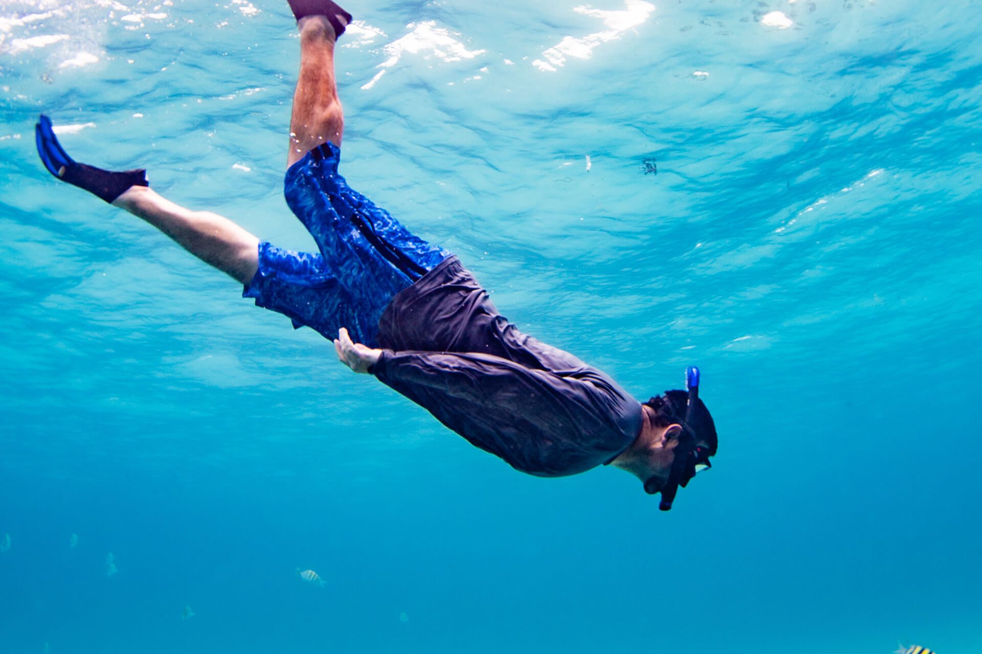 barrief-reef-slider-1