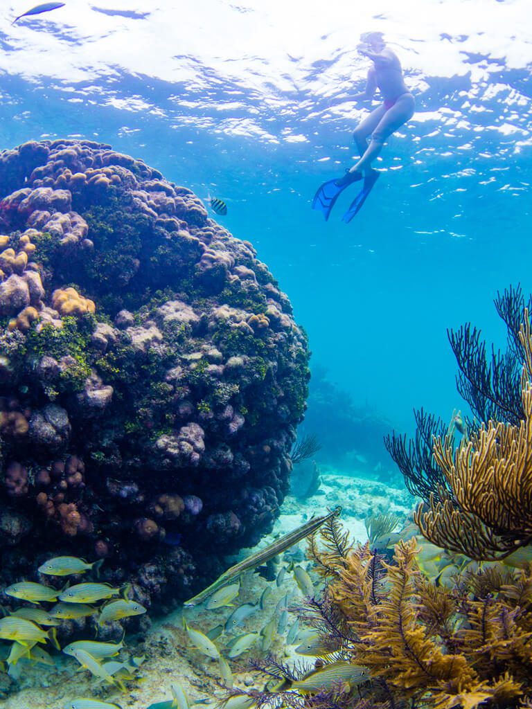 destinations-rum-point-reef