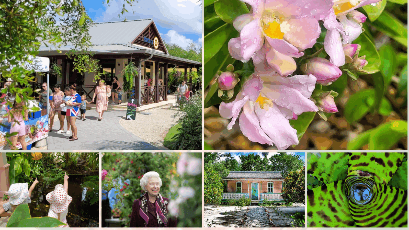 430022644_789632446534115_1013363640409937395_n