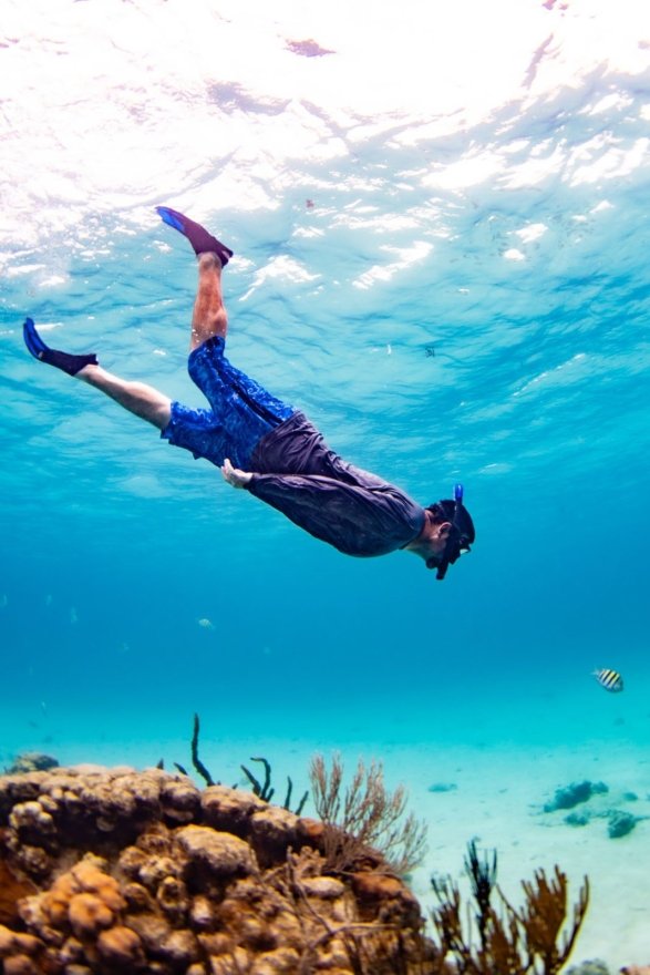 Grand Cayman Barrier Reef snorkeling tour with vibrant coral formations