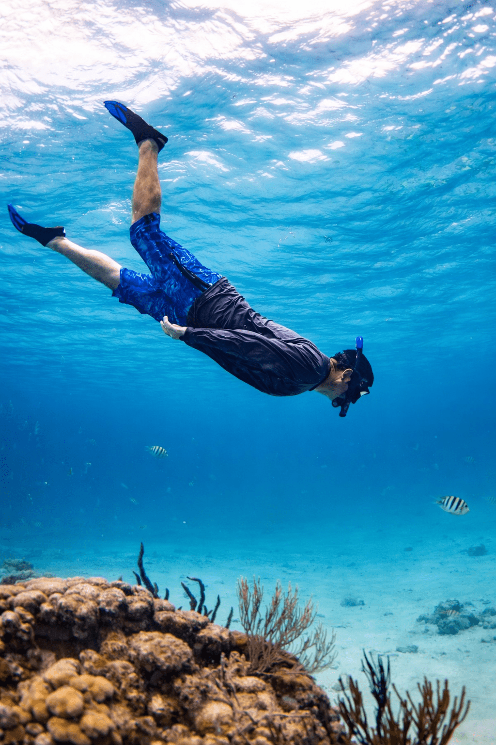 Snorkeling with colorful tropical fish during a customized Grand Cayman boat tour