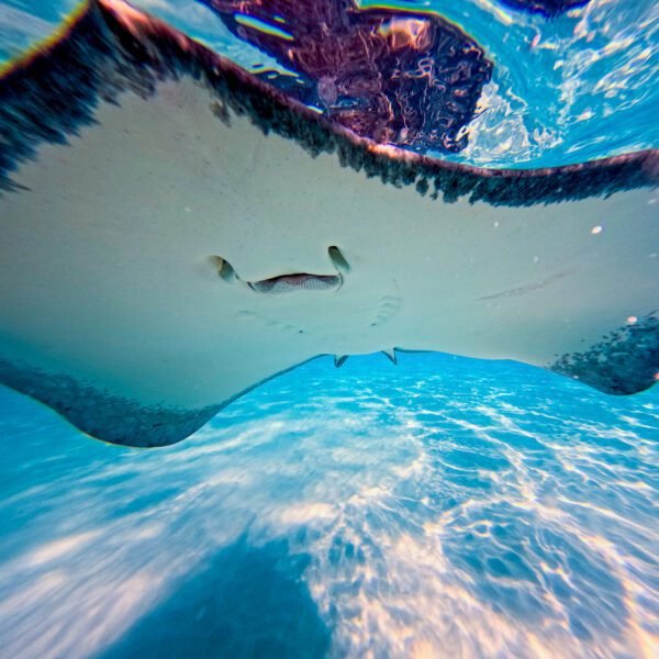 DCIM100GOPROGOPR0474.JPG