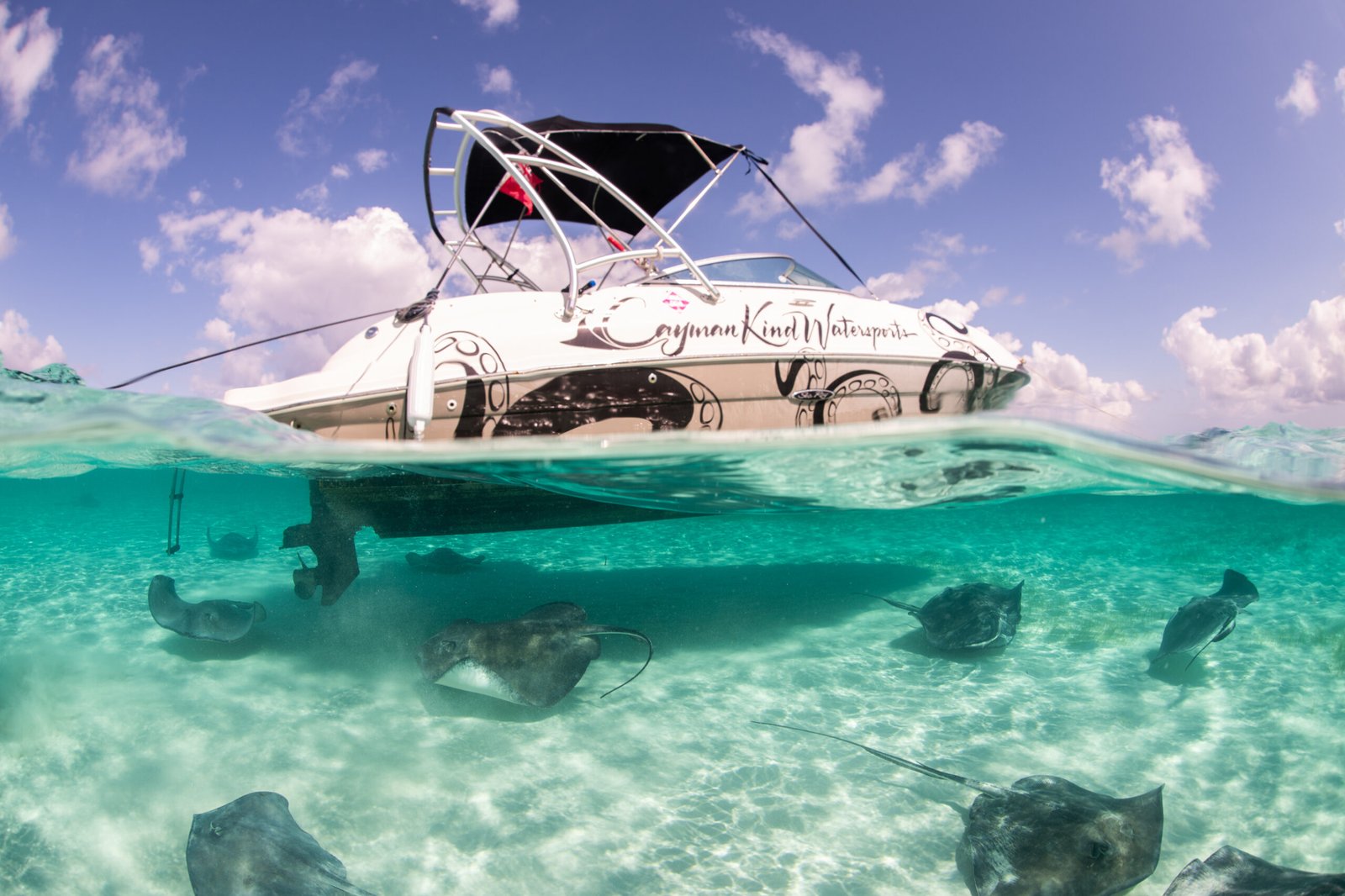 Snorkeler amazed by the underwater marine life in Grand Cayman