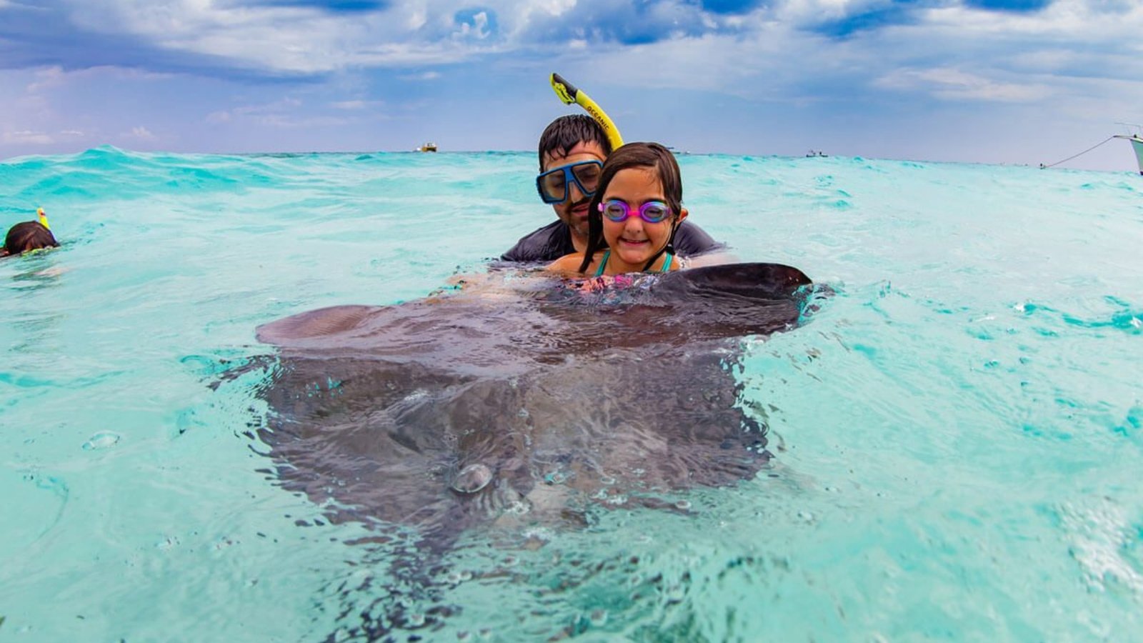 Stingray City Tour Guide: What to Expect, Tips & Best Time to Go