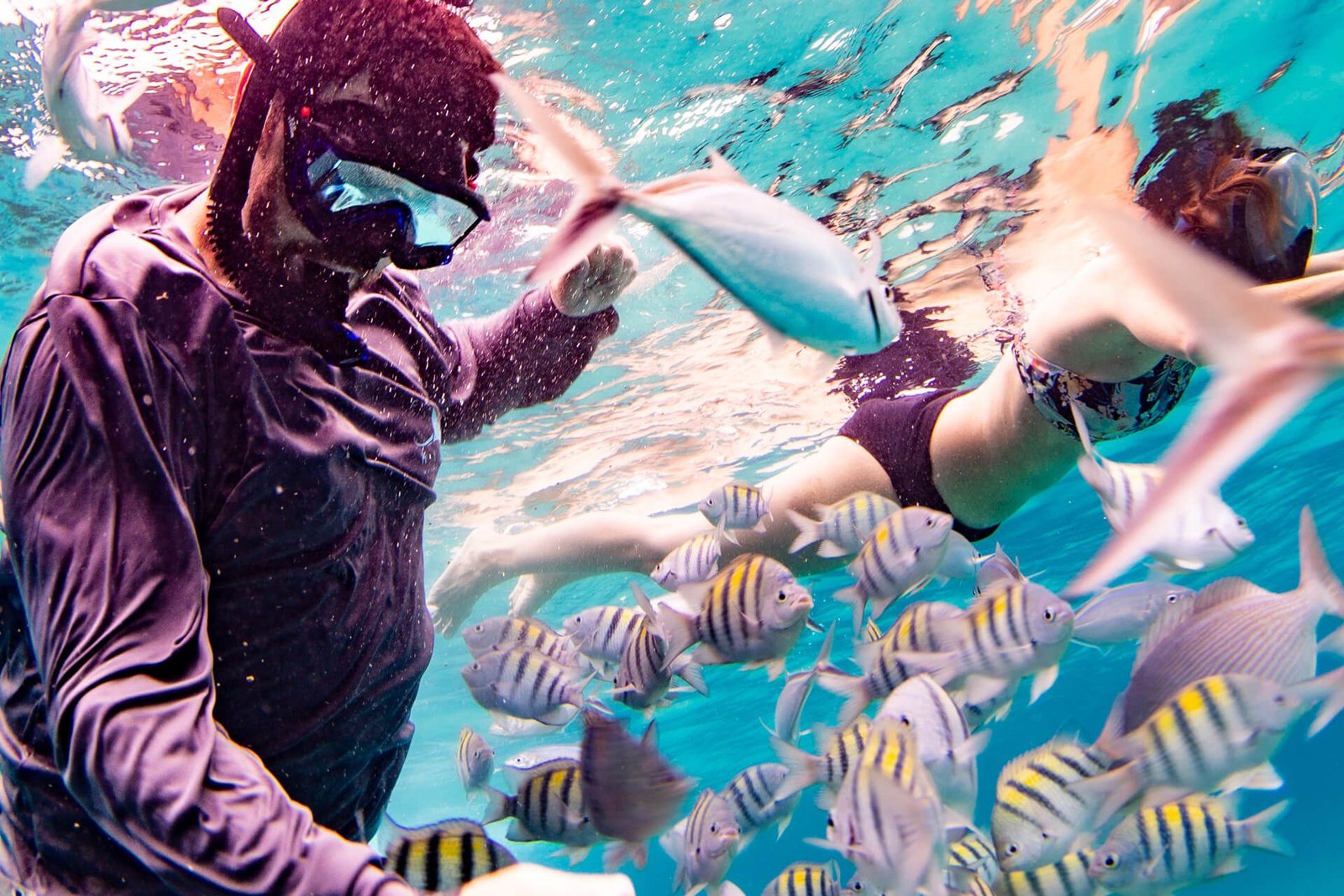 Colorful tropical fish visible while snorkeling in Cayman waters