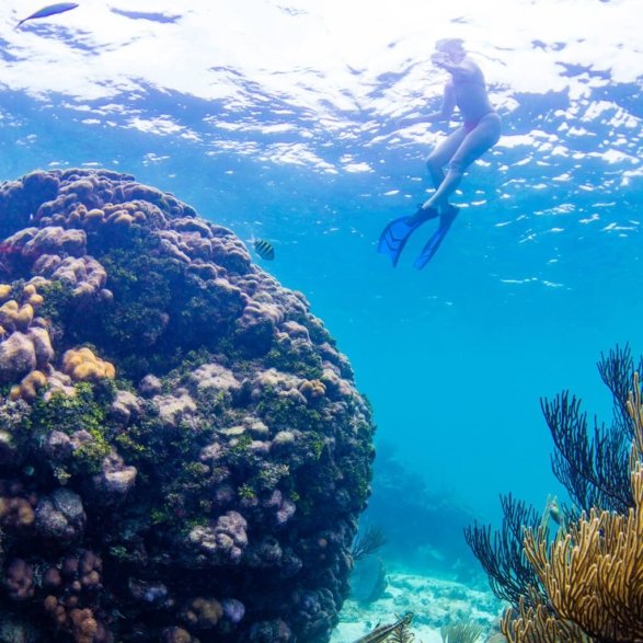 rum-point-reef-slider-3